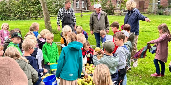 Äpfel pflücken in Rorup